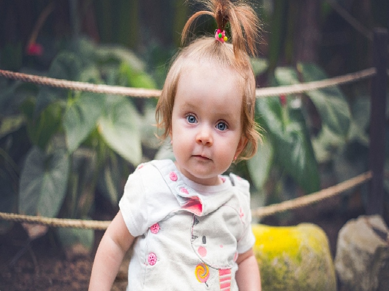 试管多久孕酮正常到泰国试管婴儿费用偷换医院血液试管